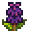 Lily.png