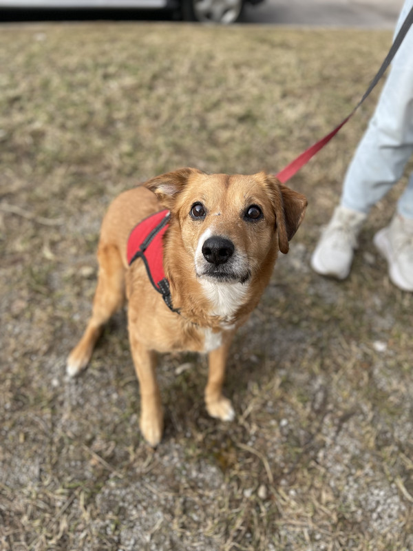 353FD708-ED79-4DC5-85F7-DFFA011BD3F3