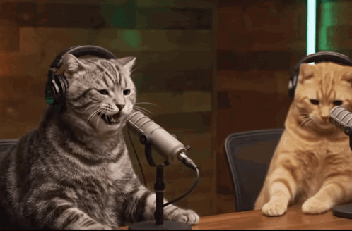 IMG-0879.gif