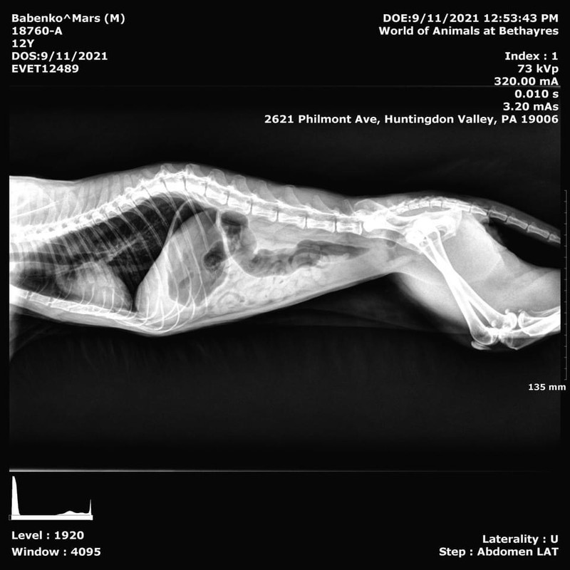 36F11E65-5A37-49B6-B8EB-78D4DCFE4246