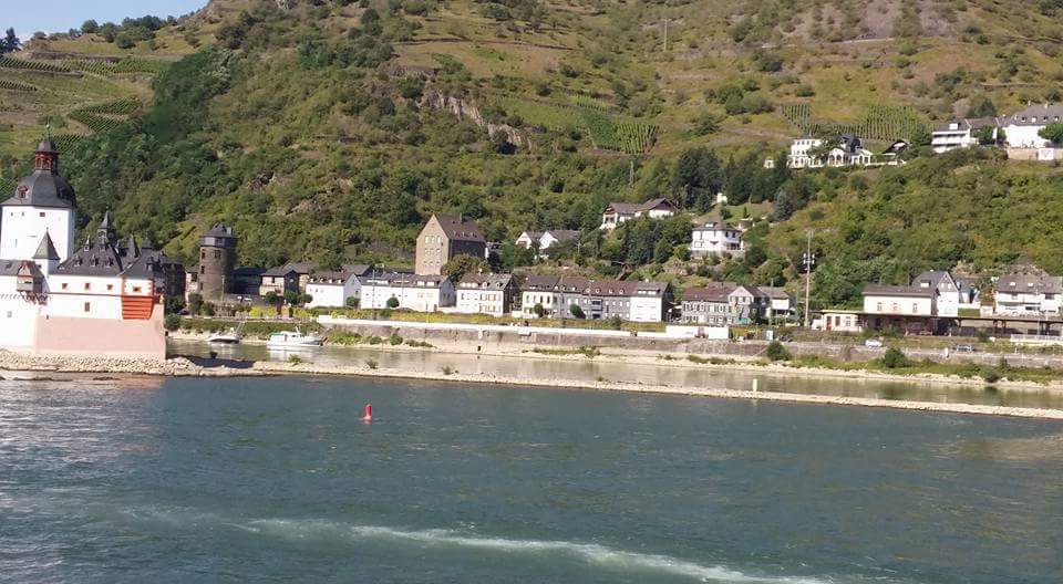 FB_IMG_1471466434012