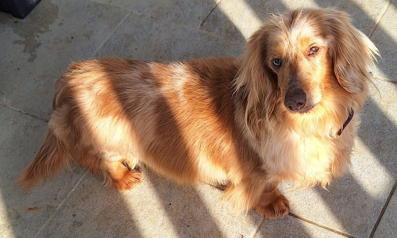 [Image: 20240308-095134.jpg]