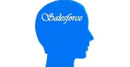 Project Based Salesforce Admin & Adv Admin Hands-On Training