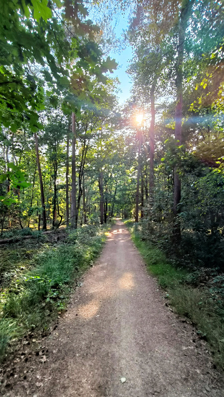 Lumii_20250810_180042997