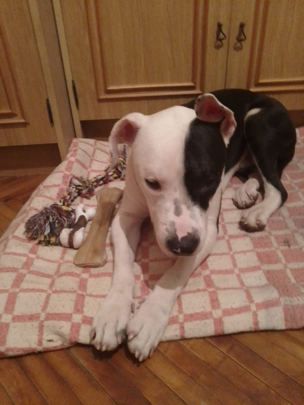 F9684C28-2119-45A7-8544-CDFCB9366BD6