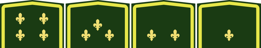 GRUD3