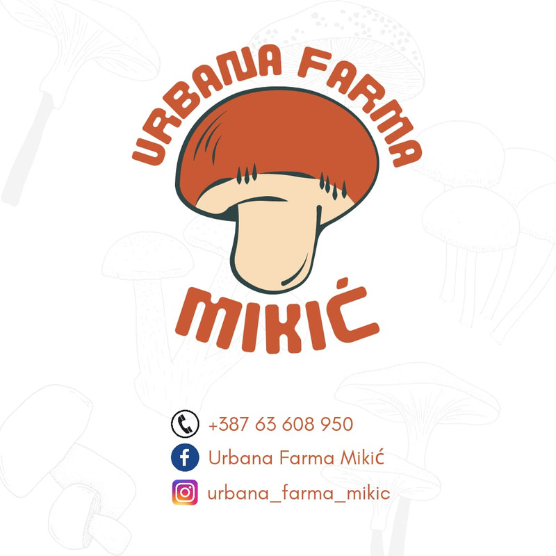 WhatsApp Image 2022-03-02 at 22.04.03