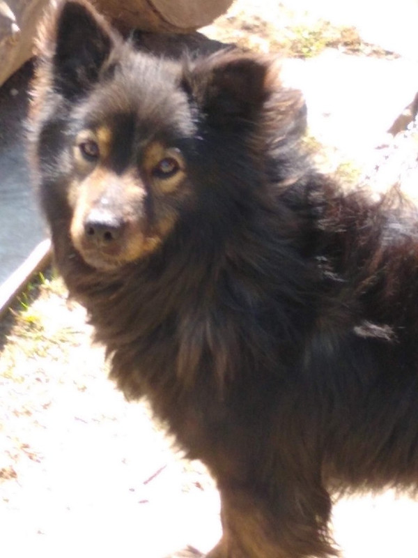 IMG_20190419_134735776