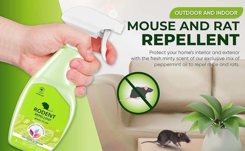 All Natural Peppermint Oil Spray, Non-Toxic Rat Repellent to Repel Mice and rats | eBay