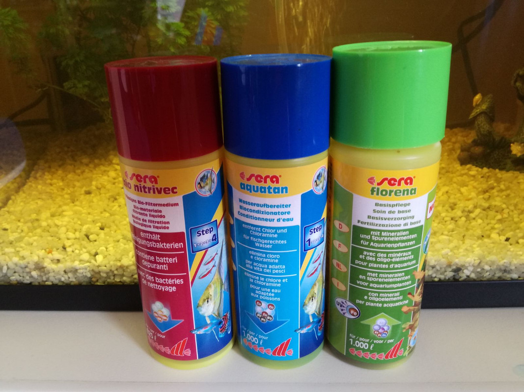 WhatsApp Image 2017-07-12 at 13.12.08 (1)