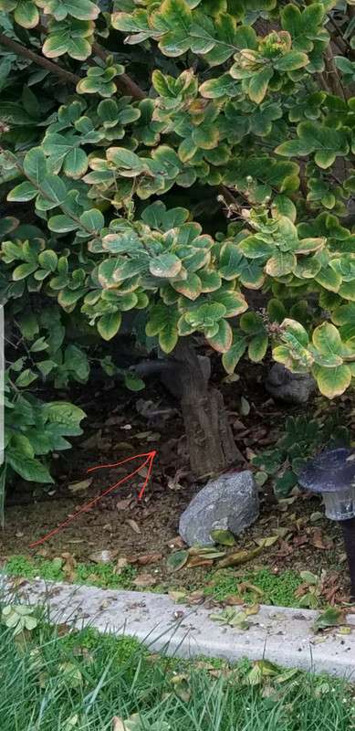 Screenshot_20180201-184539