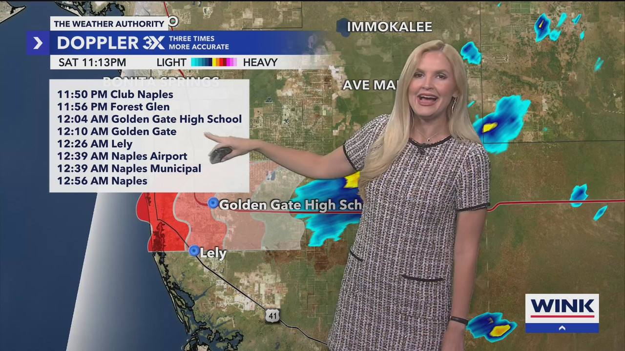 WINK News at 11_20250803_04000500.ts_snapshot_00.14.44.043