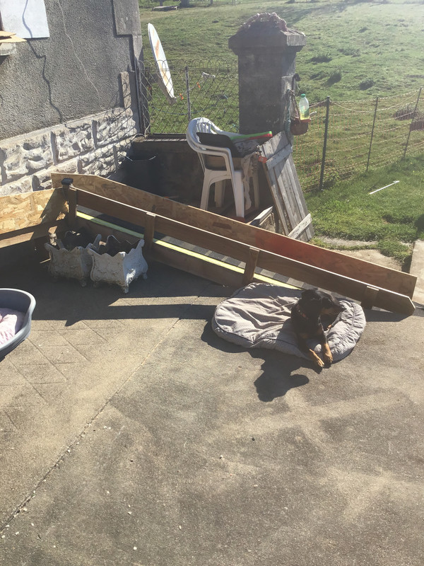 [Image: A62-F7484-8550-49-B9-A999-982-C48-BABEA7.jpg]