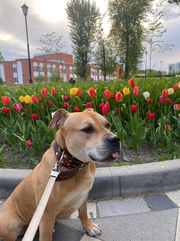 E3F0E949-949A-4898-A65D-7C56BA82152B