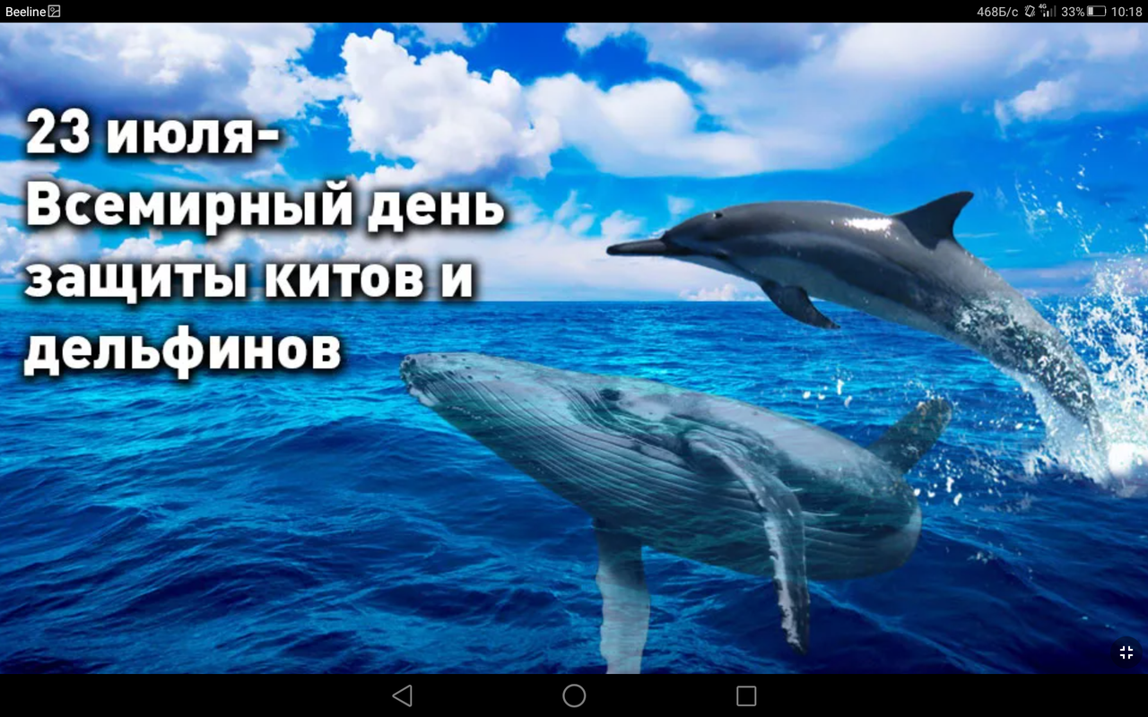 Screenshot_2023-07-23-10-18-50