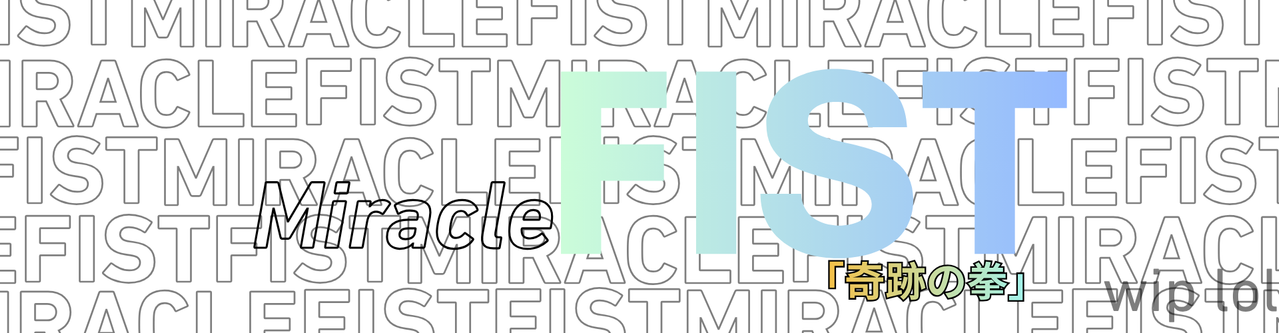 miracle fist white banner