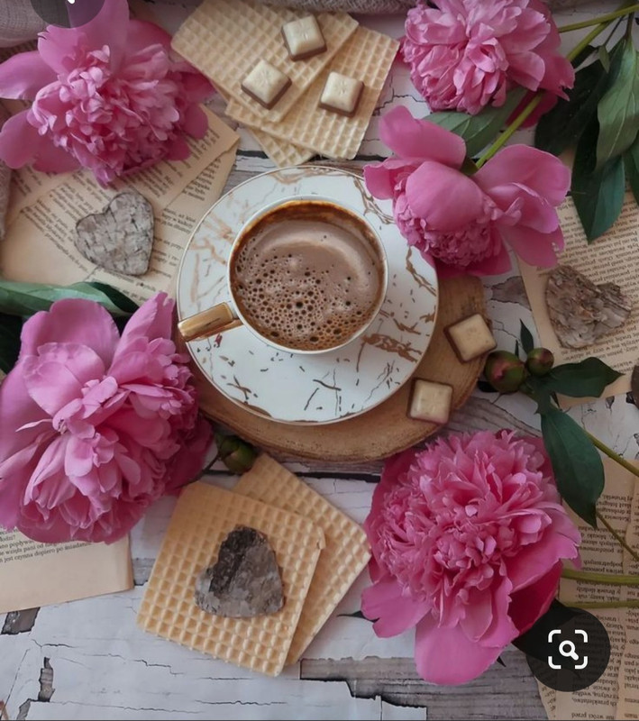 Screenshot_20230316_181056_Pinterest