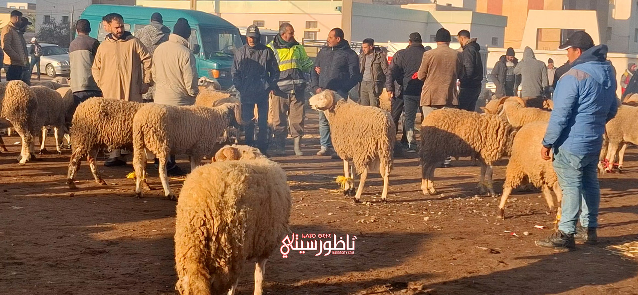 Sequence-02-00-00-21-10-Still003