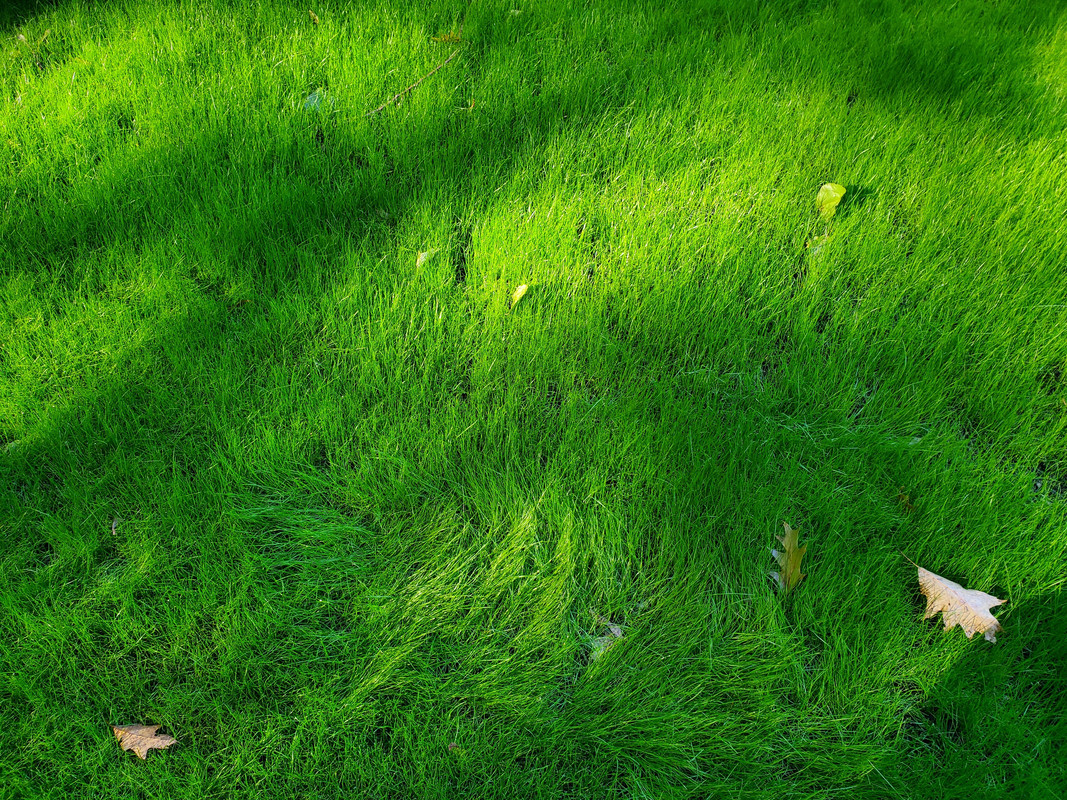 346C87A0-988F-4CE1-B8DA-557DF2D97551