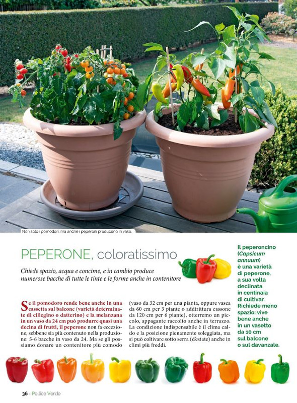 Pol Ver Mag 2023 (7)