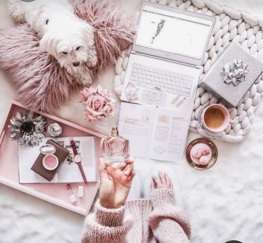 Screenshot_20230225_223547_Pinterest