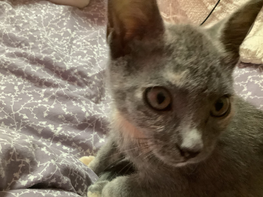 CB1B2F6F-4C74-45ED-B239-94E3FAC16F87