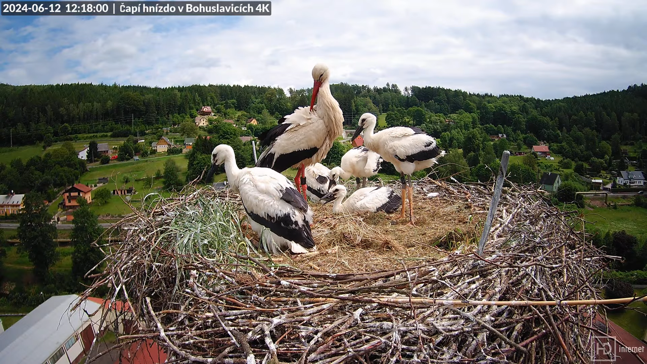 Tiešraidē no uzņēmuma KARA stārķa skursteņa Bohuslavicē pie Trutnovas 12-25-35 screenshot