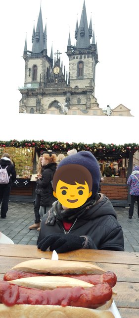 Viena - Bratislava - Praga, Navidad 2024 - Blogs de Europa Central - Reloj astronómico, Puente Carlos... Callejeando (18)