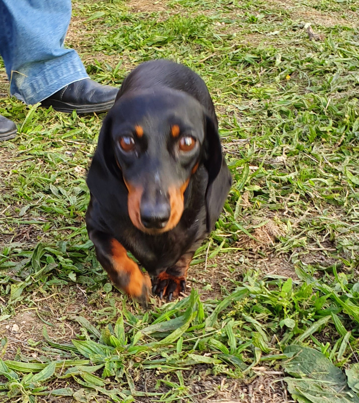 [Image: 20221005-070525.jpg]