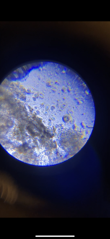 EC164AAB-CBA0-4E30-8388-14319EBC2F3C