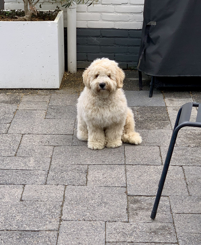 B14F93AF-8D0E-4537-B6EF-BABAA745618C