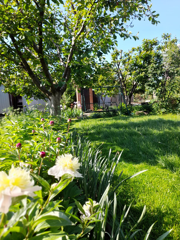 Изображение WhatsApp 2025-05-16 в 09.04.09_79772aae