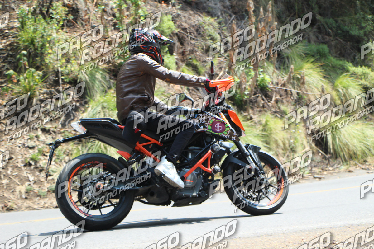 IMG 0539 wm 388812 3999999999 watermarked — Postimages