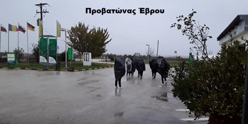 Εικόνα