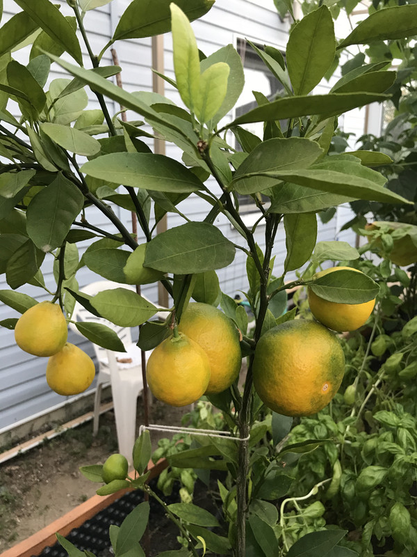 73CE1C89-C1B6-436C-BAD8-03DCC90104EB