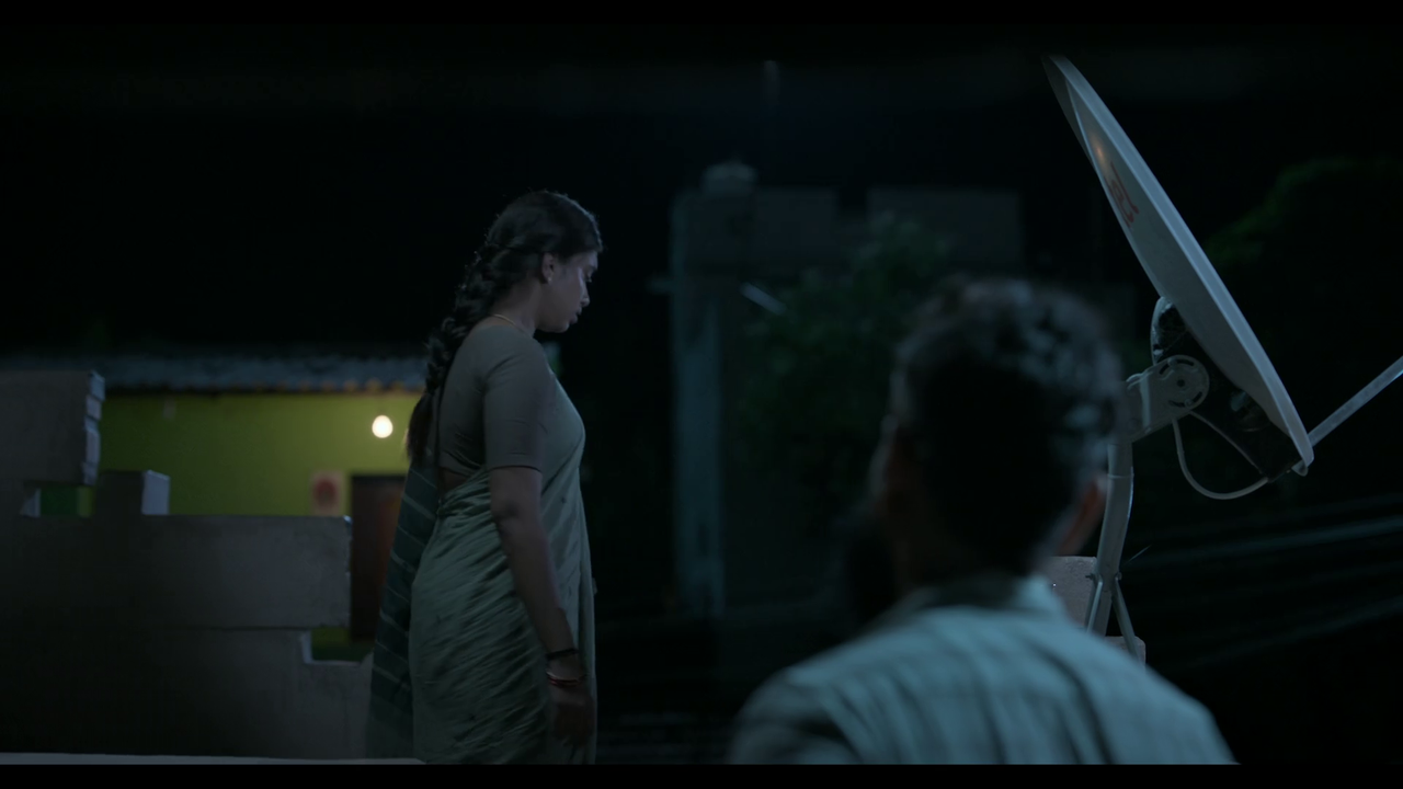 vlcsnap-2025-04-24-21h03m34s418