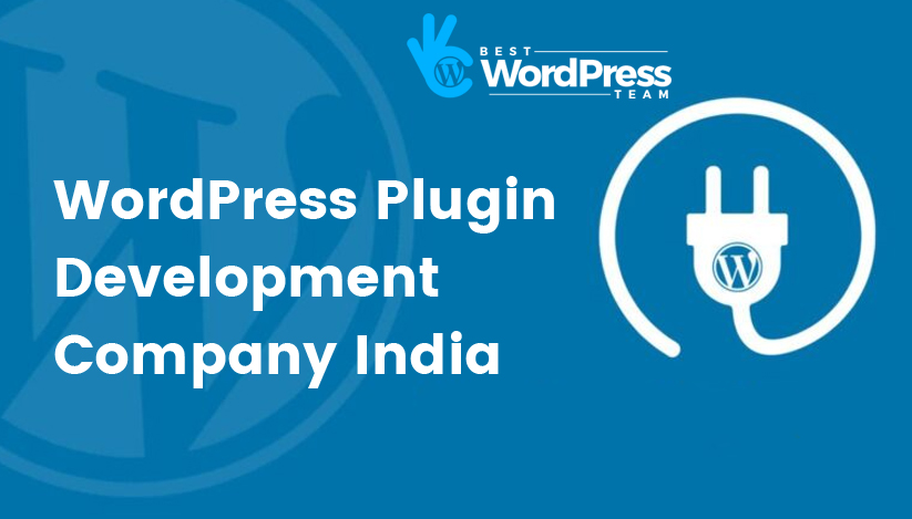 WordPress Plugin Development Company India 3 (1)