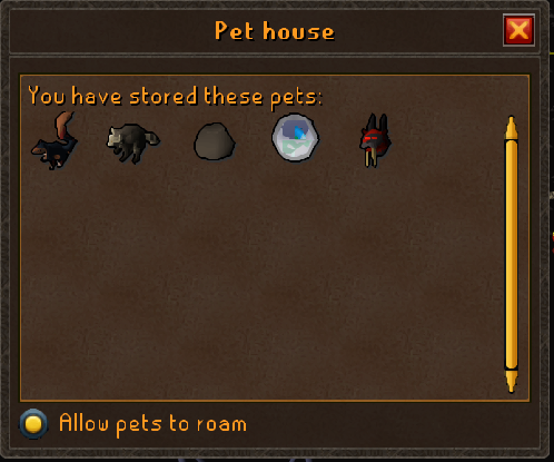 pets