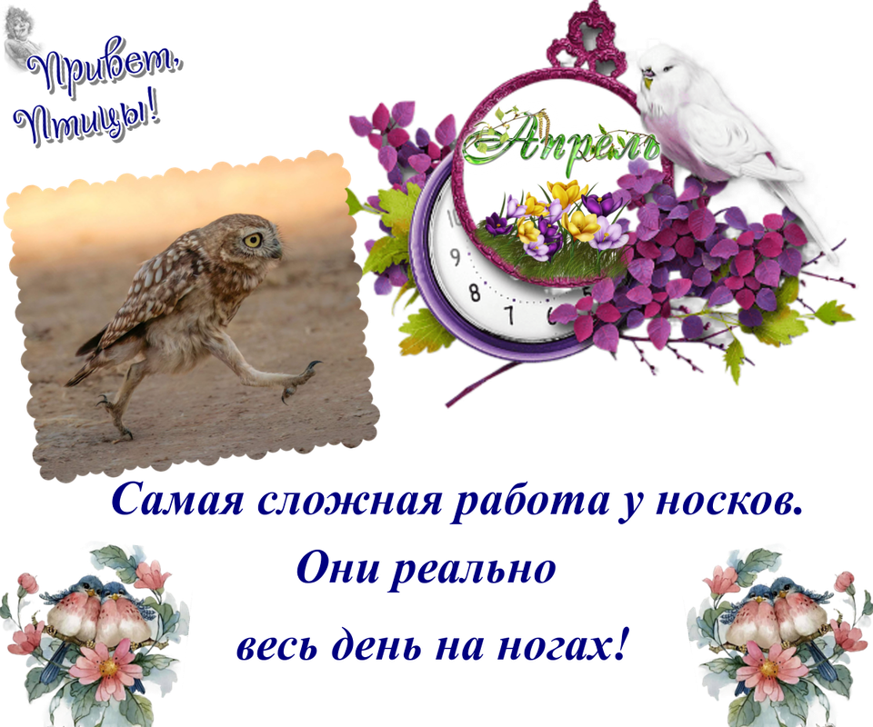 https://i.postimg.cc/k5f8RDMz/15-04.png