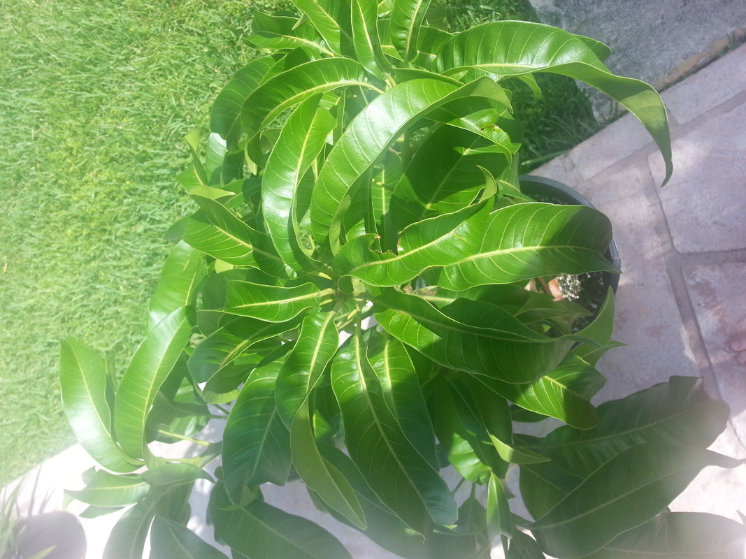 20140729_101437