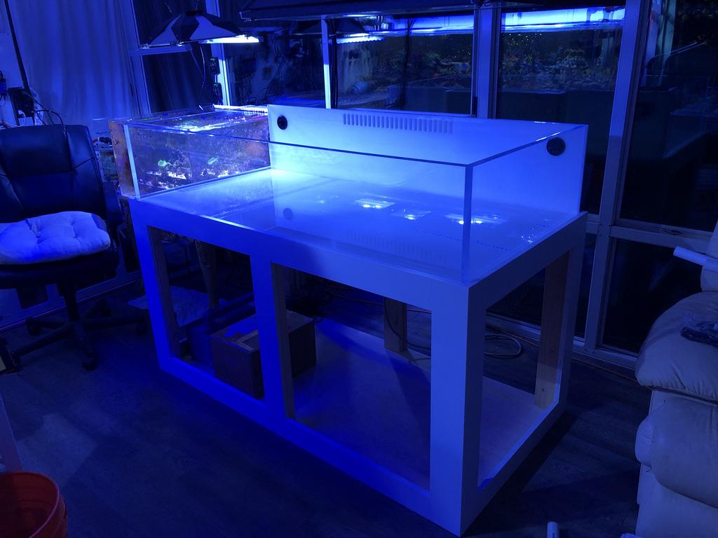 BBDD29E4-6577-4143-BDB4-8713555FE1C3