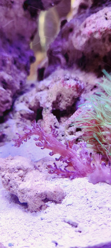 изображение_viber_2020-09-30_12-56-18