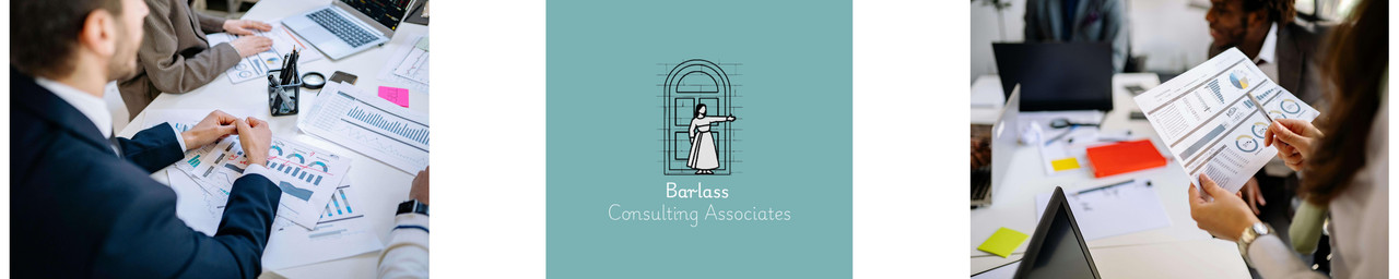 consultant