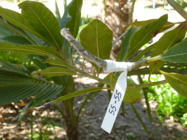 P1050214