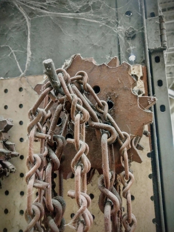 IMG_20220620_145534~3