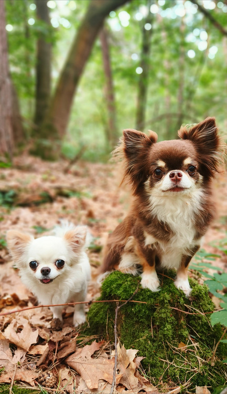 Lumii_20250812_091709647