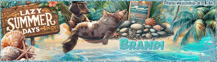 2beachbannerbrandi