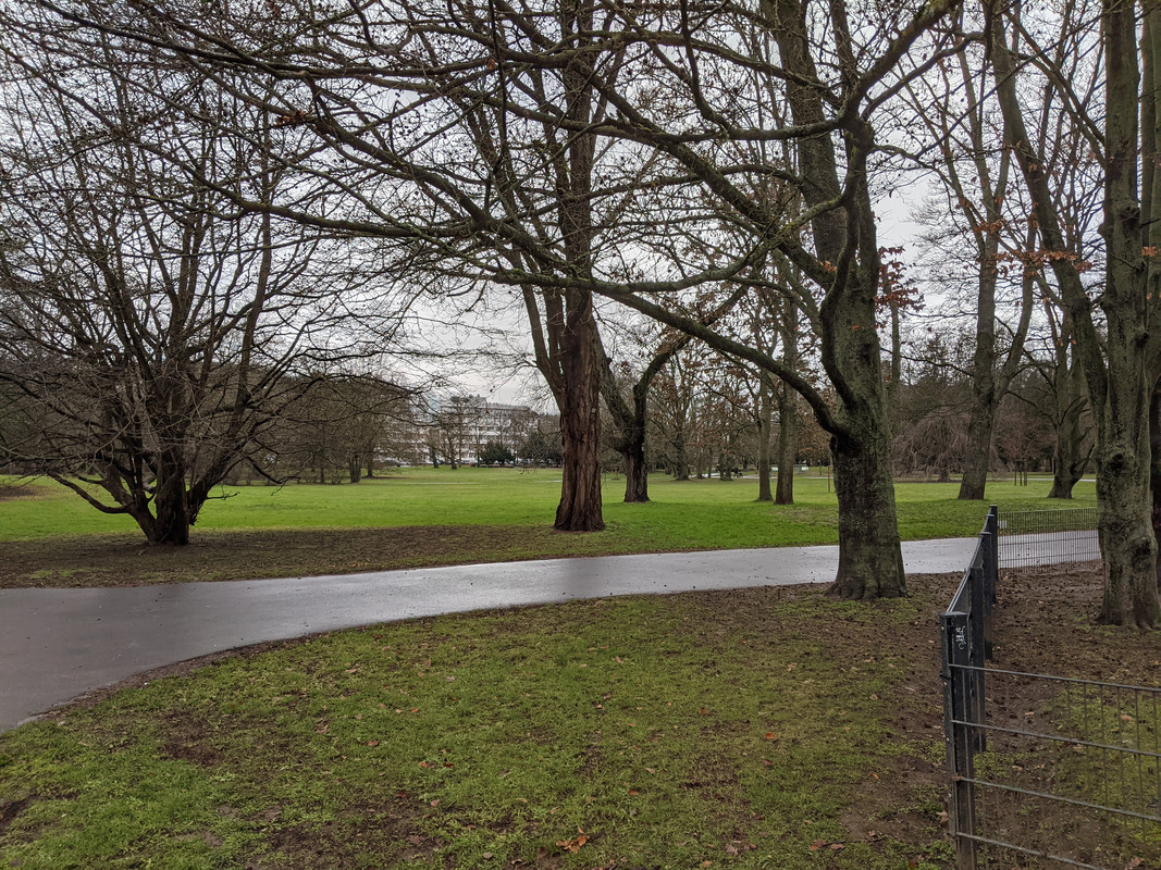 PXL_20201228_125823503