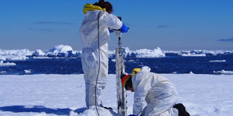 Scientist`s Breakdown: How the Chaos Unfolded