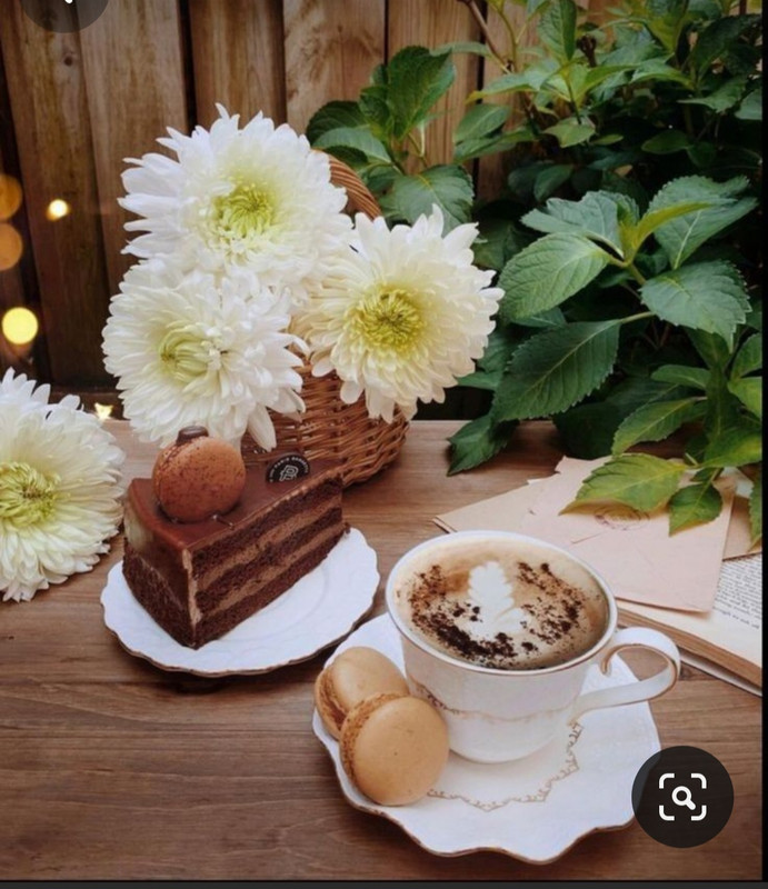 Screenshot_20230905_012332_Pinterest